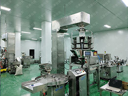 衛仕品牌官網建設