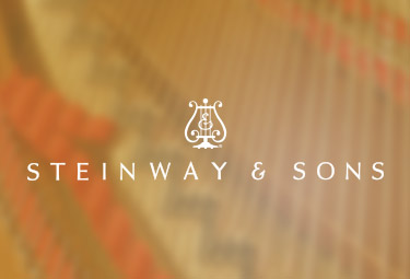 施坦威殿堂級鋼琴官網設計