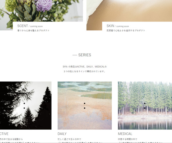 項(xiàng)目介紹