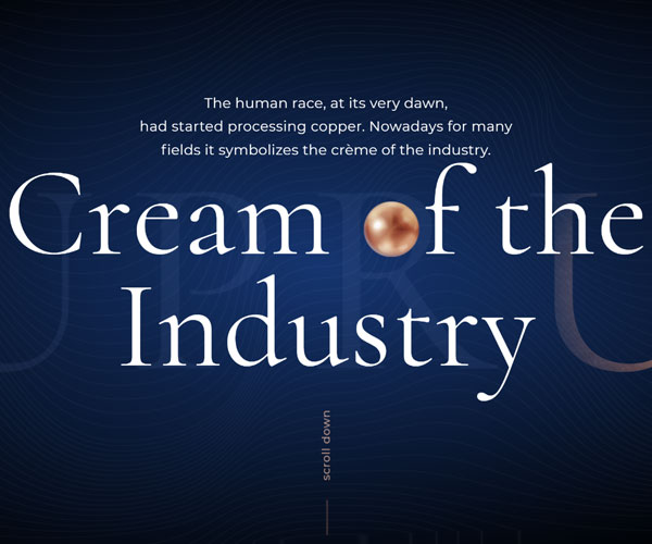 獨特交互的首頁