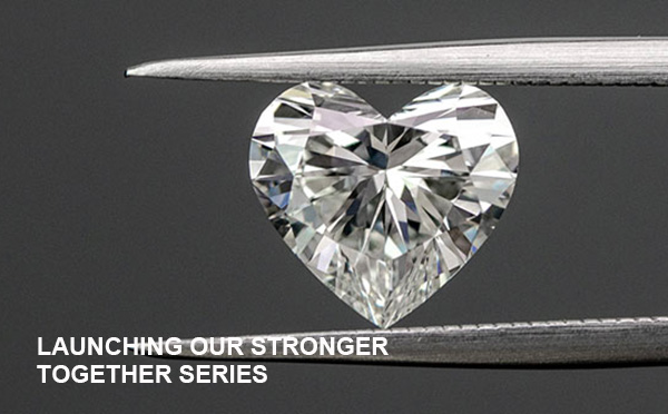 鉆石飾品行業網站開發