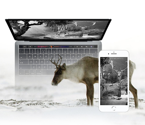 法式甜點沃德面包